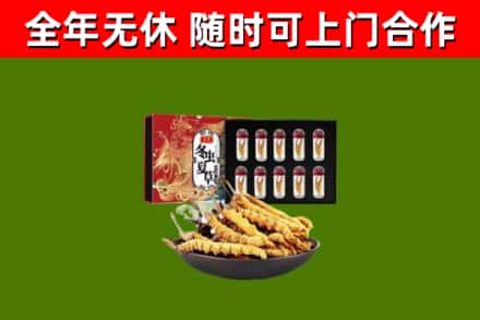 邵阳烟酒回收冬虫夏草礼盒.jpg