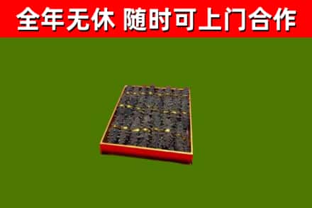 邵阳回收海参